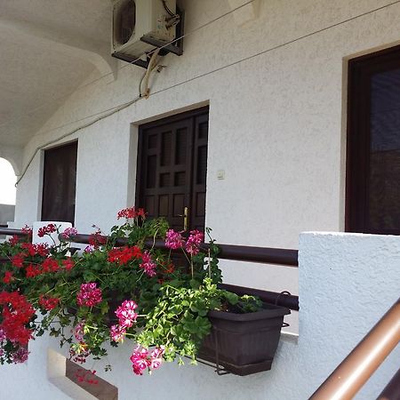 באר Apartman Tripkovic מראה חיצוני תמונה